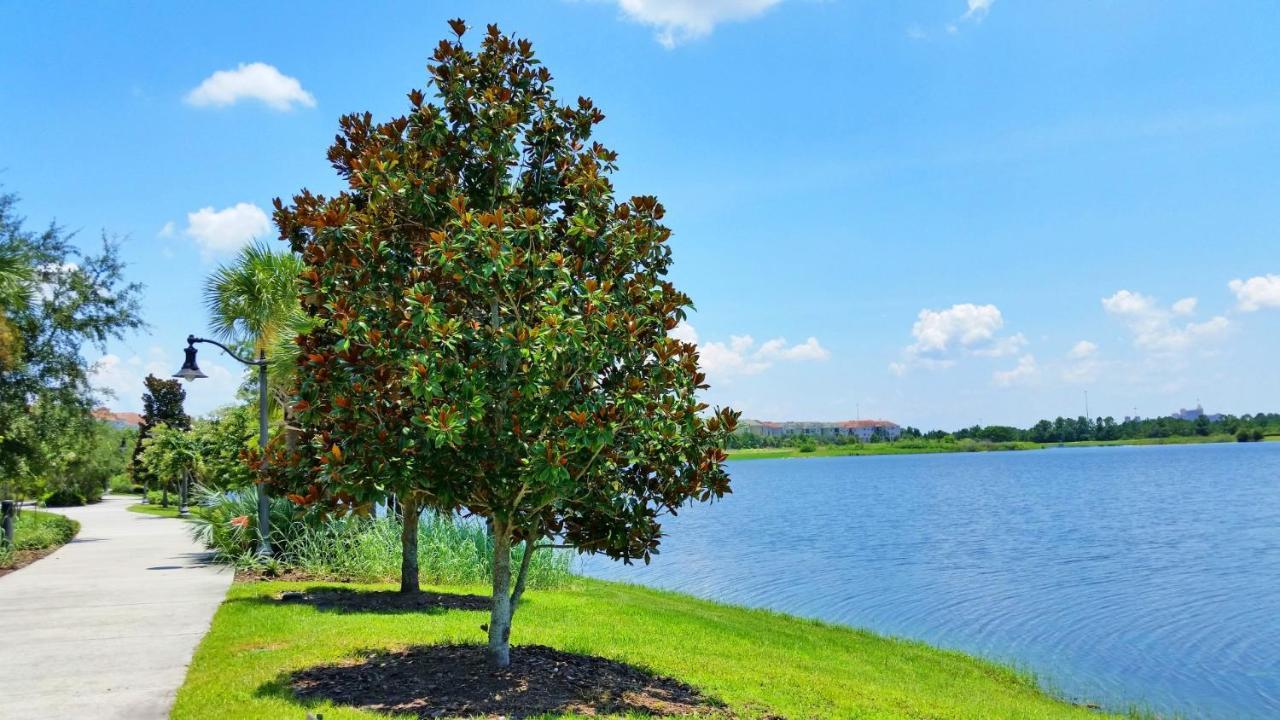 Ground-Floor Condo Next To Vista Cay Clubhouse And Pool! Orlando Luaran gambar